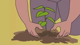 Animated Tree Plantation [upl. by Asiuol]