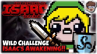 Isaacs Awakening Wild Zelda Challenge  Binding of Isaac Repentance [upl. by Igig]