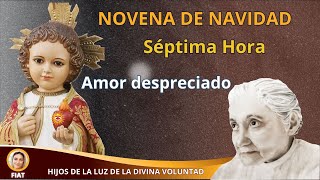 7 SEPTIMA HORA AMOR  AMOR DESPRECIADO  LUISA PICCARRETA  EXCESOS DE AMOR [upl. by Acissj175]