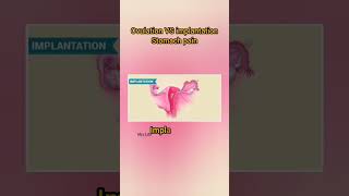 Ovulation VS implantation symptoms pregnancy shorts tips [upl. by Ssac]