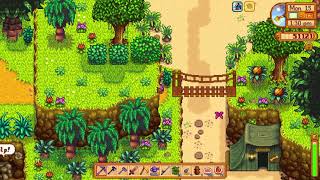 How to get 2 Golden Walnuts in trees above the green tent  Stardew Valley [upl. by Ainosal]