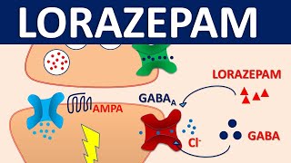 Lorazepam 05 mg ativan  Mechanism side effects precautions amp uses [upl. by Llerrat]