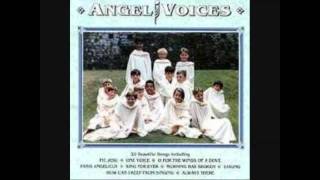 LiberaAngel Voices  Panis Angelicus 1988 1992 2010 [upl. by Madel255]