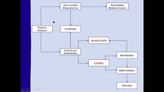 Tema 01 Lesión y Adaptación Celular [upl. by Todd]