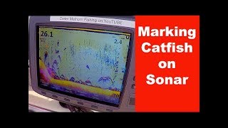 Catfish On Sonar  Tips For Marking Catfish On Sonar  Tips On Using Structure Scan For Catfish [upl. by Tynan]