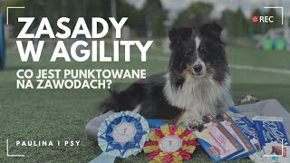 ZASADY W AGILITY ZA CO DOSTANIECIE PUNKTY KARNE A ZA CO DYSKWALIFIKACJĘ  PAULINA I PSY [upl. by Bender]