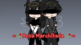 🥀Rosa Marchitada🥀canción originaljazieloficial [upl. by Akemrej]