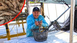 My First Time Trawling For Louisiana Shrimp [upl. by Nessej]