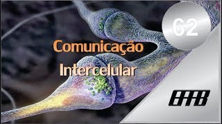 Vídeo Aula62Comunicação intercelular Autocrina Paracrina e Endócrina [upl. by Maximilien]