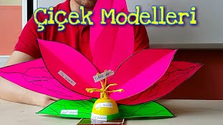 Çiçek Modeli  Flower Model [upl. by Annonyw]