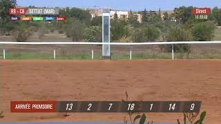 Live Hippodrome « SETTAT »  Courses du « 17062023 » [upl. by Braynard813]