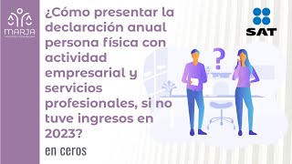 Declaración anual persona física con actividad empresarial y servicios profesionales sin ingresos [upl. by Anuahsar451]