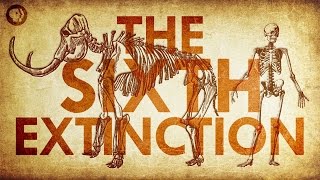 Are We Living In the Sixth Extinction [upl. by Blynn350]