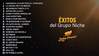 Éxitos Del Grupo Niche  Salsa Power [upl. by Nioe]