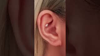 6 Types of Conch Piercings [upl. by Relda]