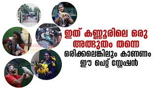 ഇത് കണ്ണൂരിലെ ഒരു അത്ഭുതം തന്നെ  ഒരിക്കലെങ്കിലും കാണണം ഈ പെറ്റ് സ്റ്റേഷൻ Pet Station Kannur [upl. by Ahsitauq]