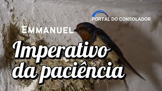 IMPERATIVO DA PACIÊNCIA  EMMANUEL mensagensdobem espiritualismo portaldoconsolador [upl. by Aleen]