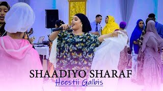 SHAADIYO SHARAF 2023  HEES AROOS GALBIS  OFFICIAL VIDEO [upl. by Ihp748]