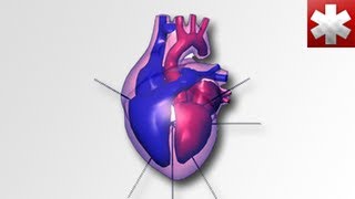 ECG Interpretation  AtrioVentricular Block [upl. by Gottuard888]