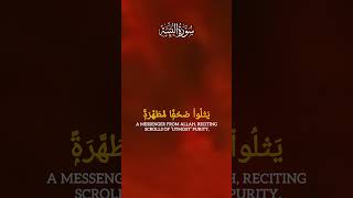 Surah Al Bayyinah beautiful recitation [upl. by Lyrehs]