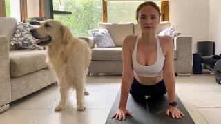 The dogs reaction to my workout [upl. by Rilda]