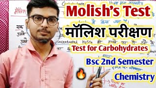 Molishs test for carbohydratesMolisch Testmalish parikshan kya haiMolish Parikshan kya hai 🔥 [upl. by Shlomo229]