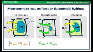 TP Relation plante et eau  Physiologie Végétale S4 [upl. by Yorled260]