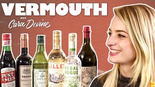 I meet an Expert  Vermouth amp fortifiedaromatised wines explained [upl. by Stclair]