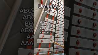 UMAASACALEINLYRE XYLOPHONE COVER [upl. by Nashbar]