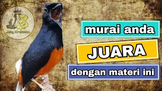 10 guru vokal terbaik masteran murai batu [upl. by Zarihs]