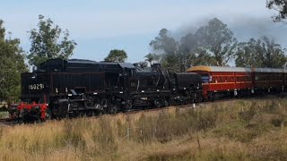 6029 with the Thirlmere Express 2024 part 3 Thirlmere to Macarthur station [upl. by Nahsrad362]