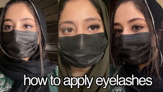 How To Apply False Eyelashes For Beginners  Easiest Way To Apply false eyelashes [upl. by Grefer]