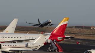 A Spectacular Day Spotting at Tenerife Sur Airport [upl. by Alvar]