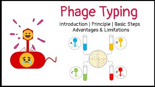 Phage Typing  Introduction  Principle  Basic Steps  Advantages  Limitations [upl. by Bart]