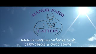 Welcome to Manor Farm Cattery [upl. by Noryak]