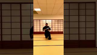 Mugai Ryu  Iaido Kata Yuu [upl. by Toma]