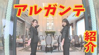 【結婚式】エンドロール『愛結びNovelbright』アートグレイスウエディングコースト大阪 [upl. by Parrott]