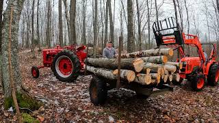 Farmall Super M Log Hauler amp Seniors Stories from the Woods  Memories of How it Used to be Done [upl. by Ricardama]