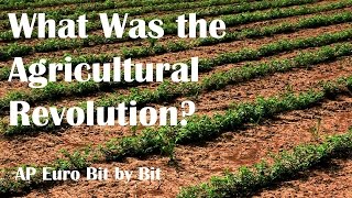 What Was the Agricultural Revolution AP Euro Bit by Bit 23 [upl. by Brandice]