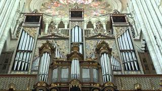 Pipe Organs  Magnificent Instruments [upl. by Emirej523]