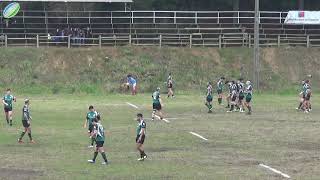 Los Troncos vs Stade Francais Intermedia 04082018 [upl. by Omik]