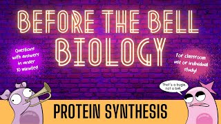 Protein Synthesis Before the Bell Biology [upl. by Latricia650]