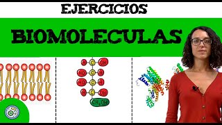 Biomoléculas 2 🔬 ejercicio resuelto EBAU EvAUPAU [upl. by Anawek]