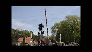 Spoorwegovergang Leschede D  Railroad Crossing  Bahnübergang [upl. by Attehcnoc]