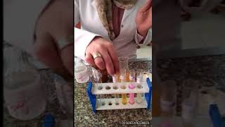 Enzymes Experiment Amylase Iipase Pepsin and Trypsin [upl. by Cynara923]