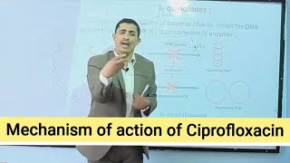 Mechanism of action of Quinolines آلية عمل فلوروكيونيلونز [upl. by Kcirted]