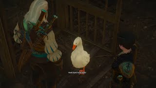 Talking Goose in the Witcher [upl. by Julee830]