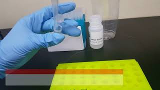 5 minutes dsRNA purification [upl. by Dorcy]