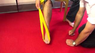 Tibialis Posterior Dysfunction  rehab exercises with latex band [upl. by Abisia]