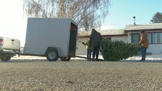 Helena Boy Scouts Christmas tree pickup benefits fish habitats [upl. by Adnilrem495]